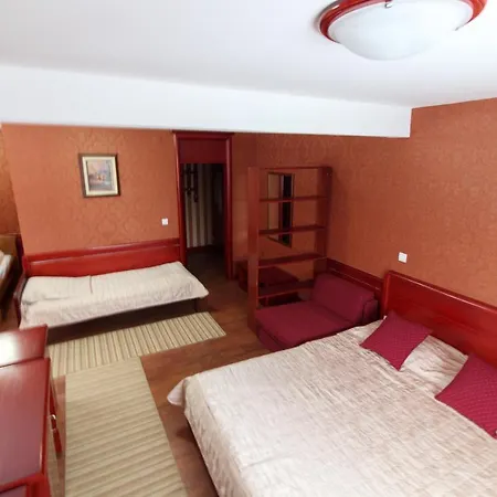 Vila Bob Petosevic Hotel *